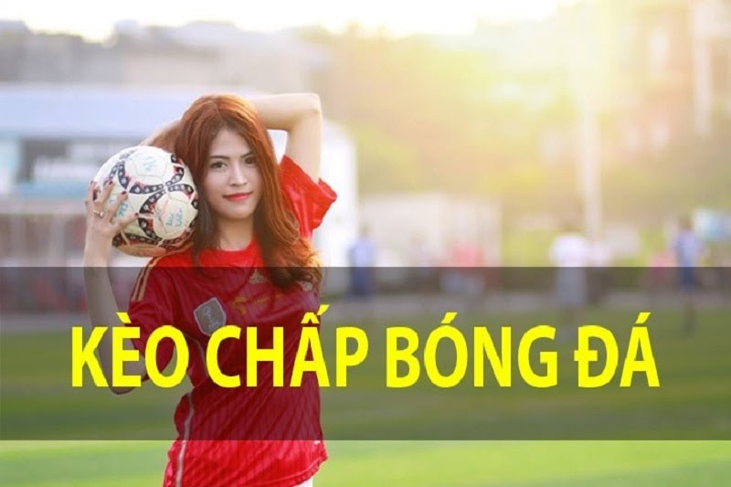Tiết lộ c&aacute;ch xem c&aacute; cược b&oacute;ng đ&aacute; đơn giản nhất cho t&acirc;n binh